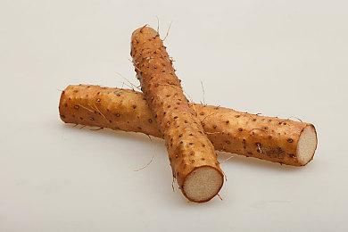 《审判之逝：湮灭的记忆》PS5／PS4数字版预购现已开启